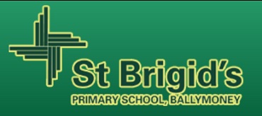 St Brigid's Primary School